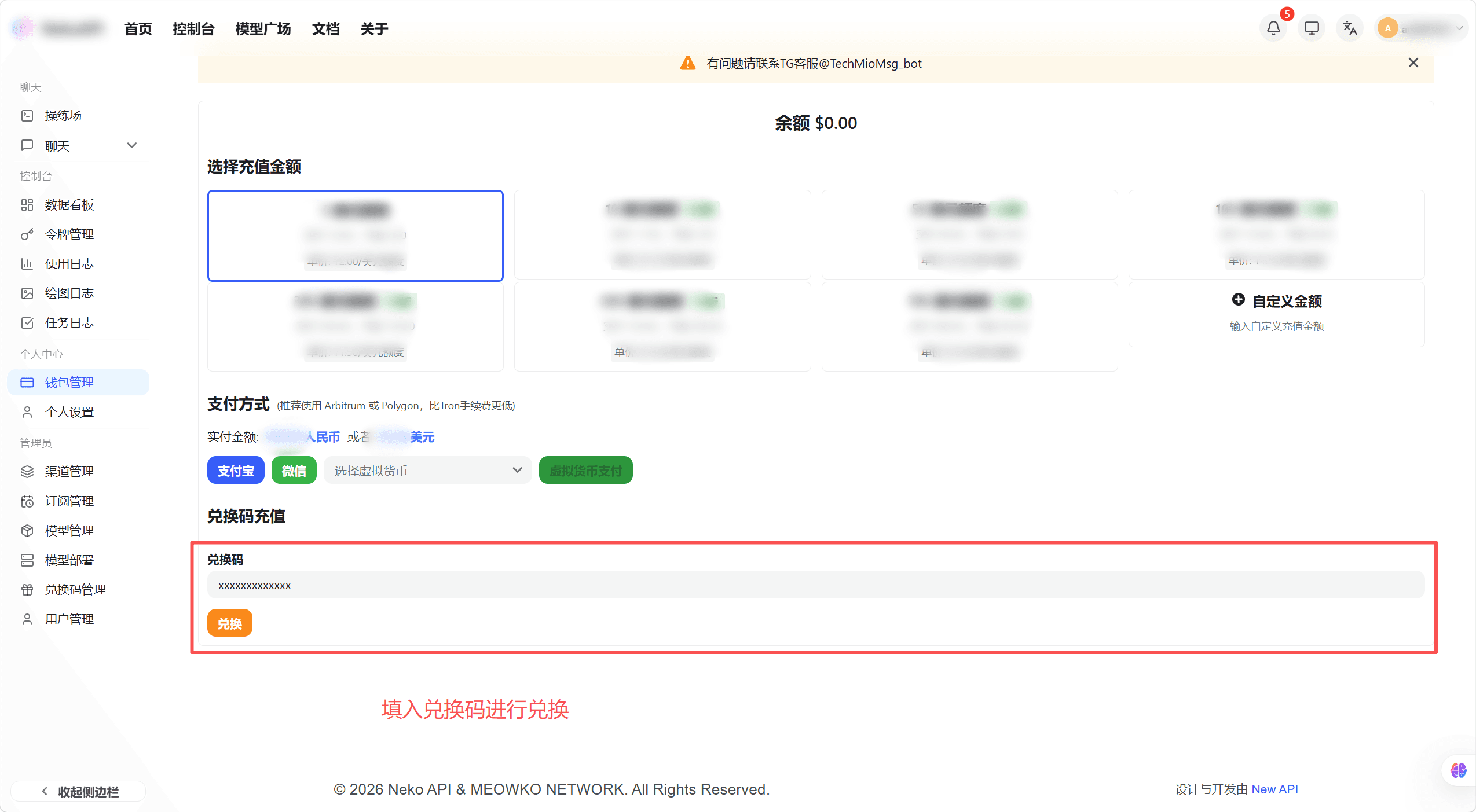 兑换码输入区域